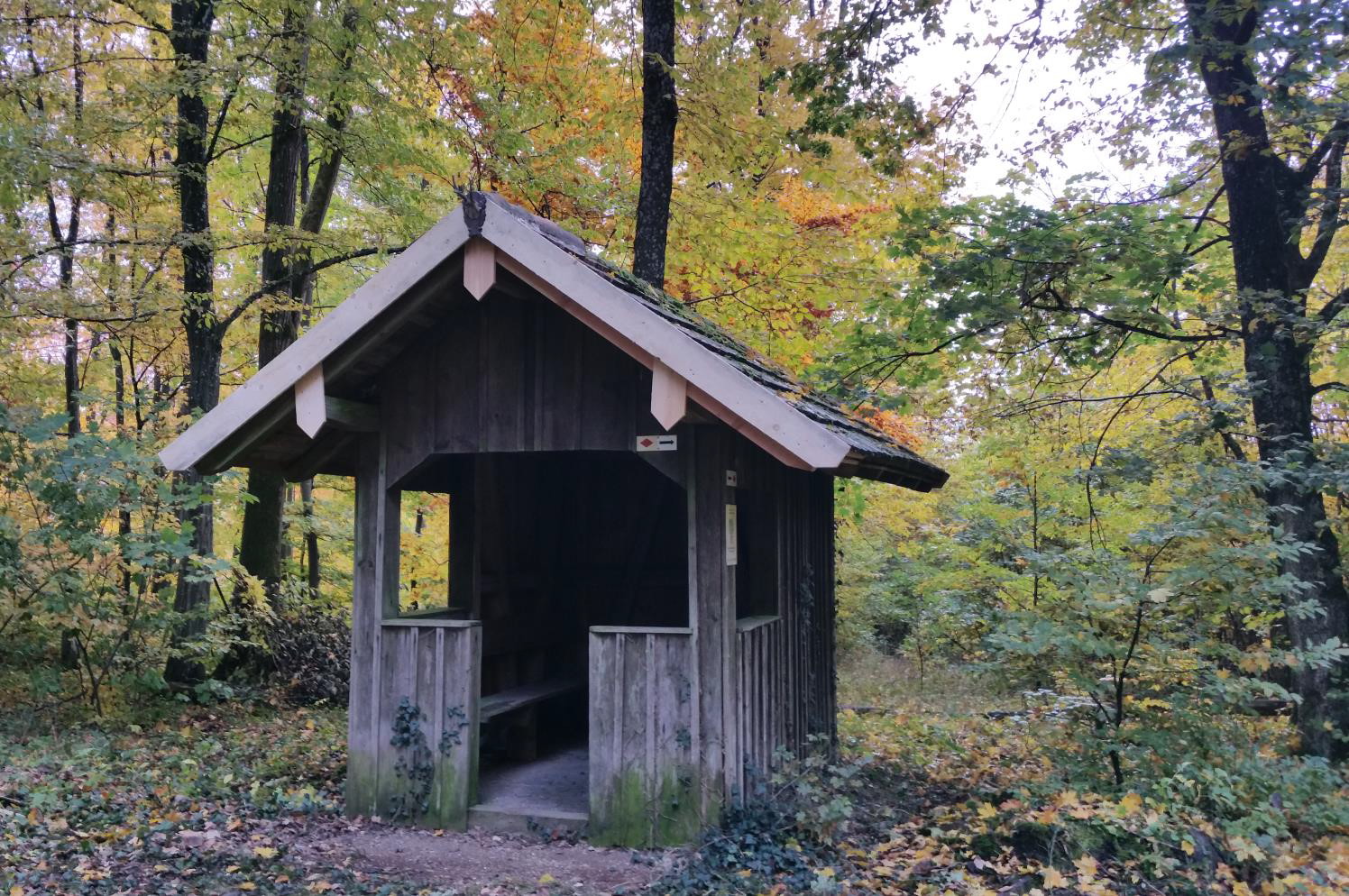 Seniorenwanderung 08.07.2021